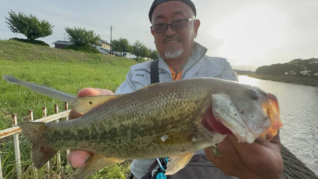 びん沼ブラックバス釣り🎣