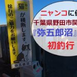 千葉県野田市にある【弥五郎沼】に初釣行