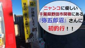 千葉県野田市にある【弥五郎沼】に初釣行