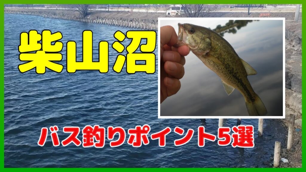 柴山沼のバス釣りポイント５選を、減水期の今だからこそ、再チェックしてみましょう