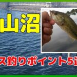 柴山沼のバス釣りポイント５選を、減水期の今だからこそ、再チェックしてみましょう