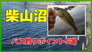 柴山沼のバス釣りポイント５選を、減水期の今だからこそ、再チェックしてみましょう