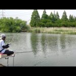 手賀沼の強烈に引くヘラブナをドボン仕掛けで仕留める！【大堀川】