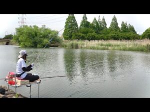 手賀沼の強烈に引くヘラブナをドボン仕掛けで仕留める！【大堀川】