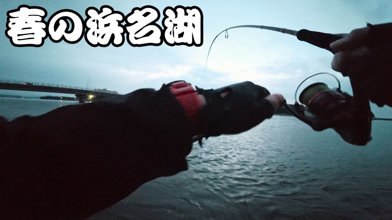 【チニング】春の浜名湖は色々釣れて楽しすぎる!