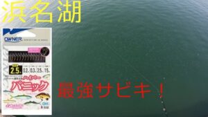 【浜名湖】イワシの大群襲来！餌なし最強サビキで攻略！