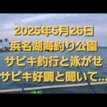 浜名湖　新居海釣り公園でサビキと泳がせ釣り　サビキ好調と聞き…