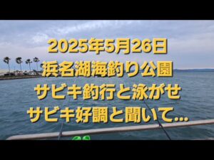 浜名湖　新居海釣り公園でサビキと泳がせ釣り　サビキ好調と聞き…