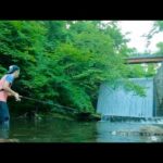 大滝が注ぎ込む川でルアー釣りしてみたところ。