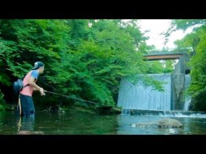 大滝が注ぎ込む川でルアー釣りしてみたところ。