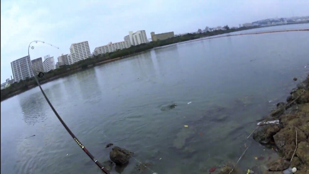 【沖縄南部釣り】国場川釣り対決！！(ルアー&チキング)