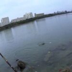 【沖縄南部釣り】国場川釣り対決！！(ルアー&チキング)