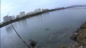 【沖縄南部釣り】国場川釣り対決！！(ルアー&チキング)