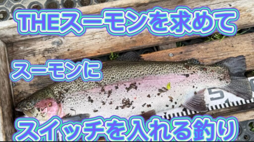 口を使わす釣り‼️【エリアトラウト・管理釣り場】【すそのフィッシングパーク 】