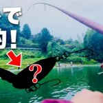 大雨の管理釣り場で巻くだけで大爆釣したルアーはこれ！！【エリアトラウト】