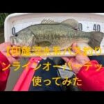 【印旛沼水系バス釣り】サンライン　オーバーテックス使って見たよ