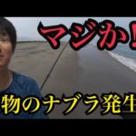 遠州灘サーフへ坊主でもあきらめずに何度も釣りに行ったら…遠州灘の神よ…