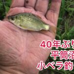 へら鮒釣り　平筒沼で小ベラに大興奮