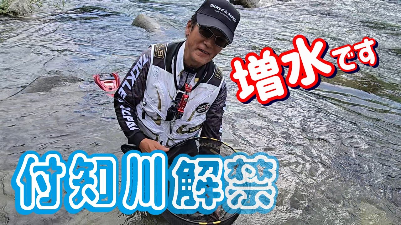 【付知川アユ解禁】増水!アユは・・・