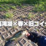 【高滝湖 バス釣り】旧コイケ、春に使ったけどよかった。