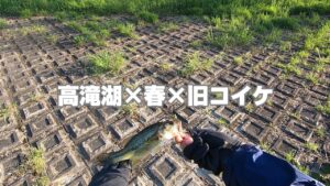 【高滝湖 バス釣り】旧コイケ、春に使ったけどよかった。