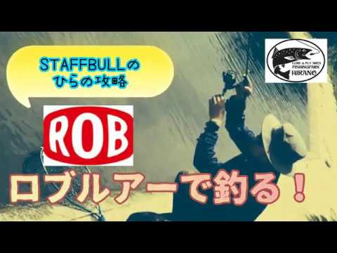 【佐賀の管理釣り場】 「ロブルアーで釣る!」 #フィッシングパークひらの #管理釣り場 #ひらのちゃんねる #ニジマス #ルアーフィッシング #フライフィッシング #エリアトラウト #九州
