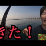 混んでる浜名湖へ釣りに行ってきました。