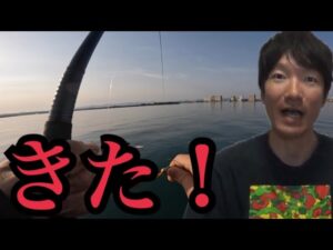 混んでる浜名湖へ釣りに行ってきました。