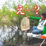 ハタキが終わって静かになってしまった津久井湖でへらぶな釣り！