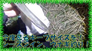 いい加減食べたい!綾瀬川ウナギ釣り !