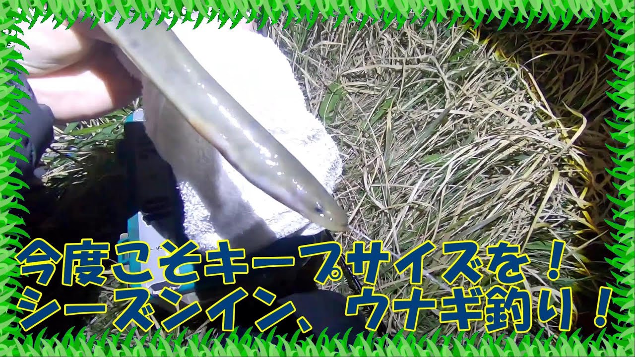 いい加減食べたい！綾瀬川ウナギ釣り ！
