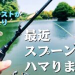 【釣り】最近スプーン沼にハマってきました【エリアトラウト】