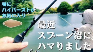 【釣り】最近スプーン沼にハマってきました【エリアトラウト】
