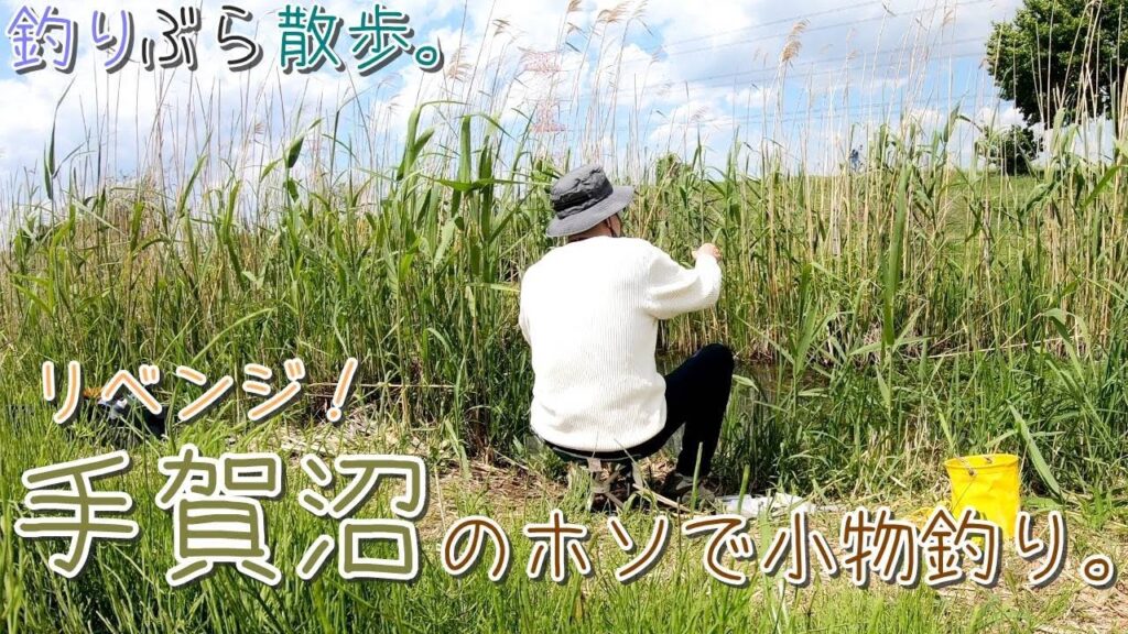 【小物釣り】気持ちよい季節の！手賀沼のホソで小物釣り。リベンジ！【淡水】