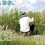 【小物釣り】気持ちよい季節の！手賀沼のホソで小物釣り。リベンジ！【淡水】