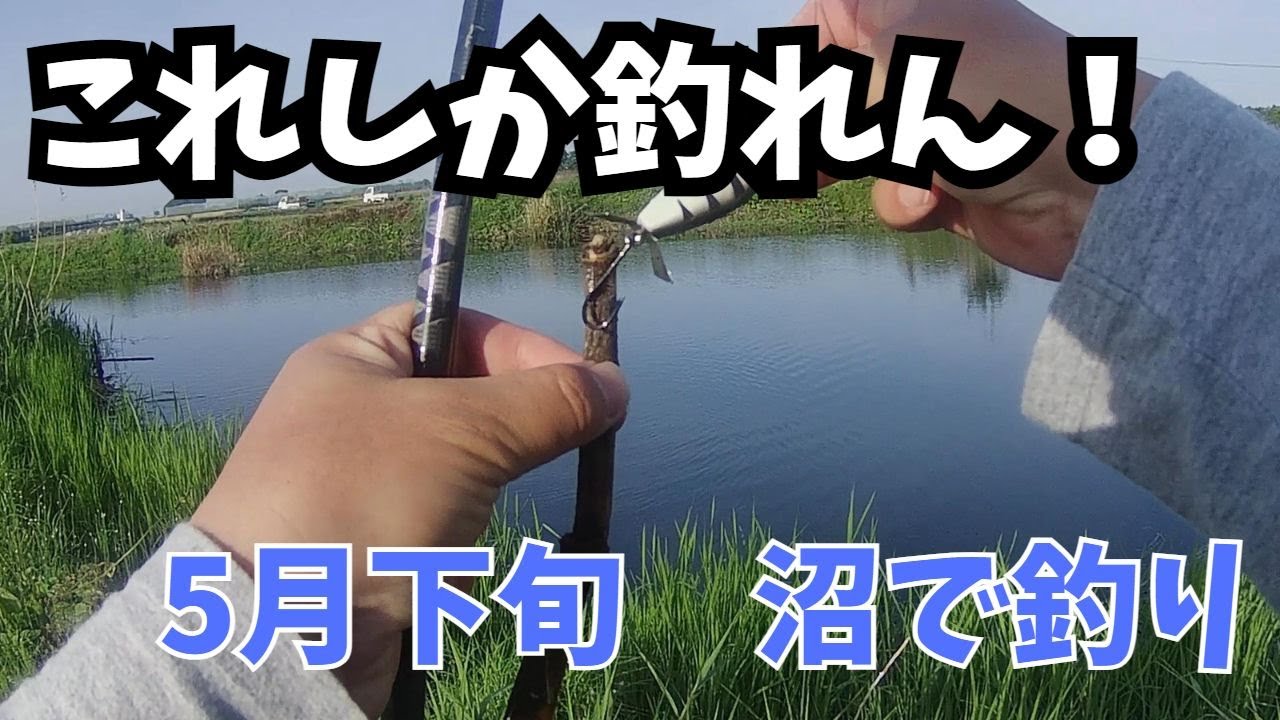 怪魚を探せ！久しぶりに沼で釣り！これしか釣れん！