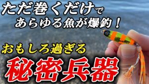 巻くだけで簡単・実は超釣れる。あらゆる魚が喰いまくるこのルアーが面白過ぎた!【ハヤブサ ジャックアイクネクネ実釣インプレ】