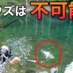 【初心者でも余裕】簡単に爆釣できる管理釣り場はここだ‼【管理釣り場　エリアトラウト】