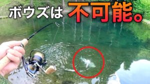 【初心者でも余裕】簡単に爆釣できる管理釣り場はここだ‼【管理釣り場　エリアトラウト】