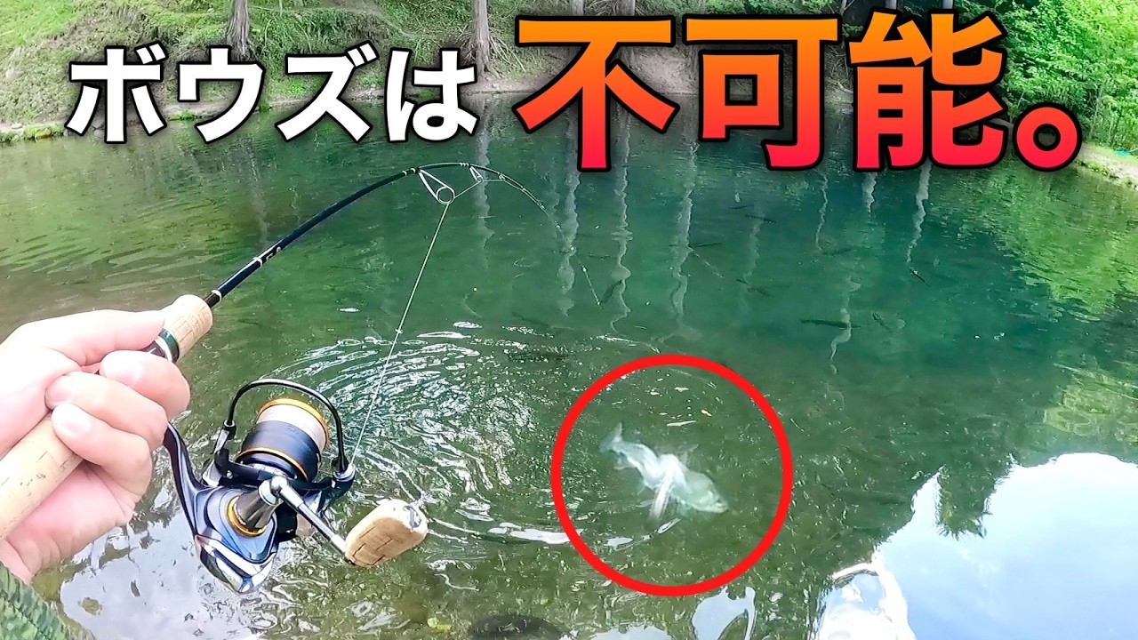 【初心者でも余裕】簡単に爆釣できる管理釣り場はここだ‼【管理釣り場 エリアトラウト】