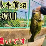 大堀川でバス釣り(手賀沼)