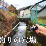 住宅脇を流れる小さな用水路は渓流釣りの穴場でした‼️