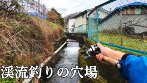住宅脇を流れる小さな用水路は渓流釣りの穴場でした‼️