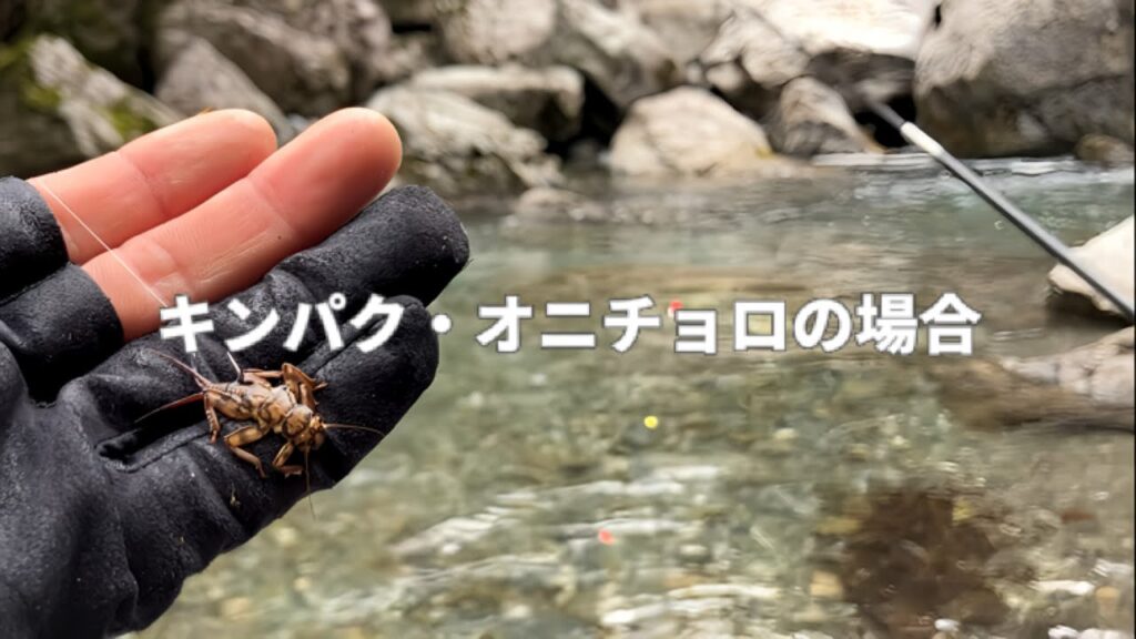 この川虫の実力。【渓流アマゴのちょうちん釣り】