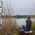 砂沼の乗っ込み腹パン巨ベラを狙って短竿両グルテン底釣り【へらぶな釣り】