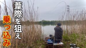 砂沼の乗っ込み腹パン巨ベラを狙って短竿両グルテン底釣り【へらぶな釣り】
