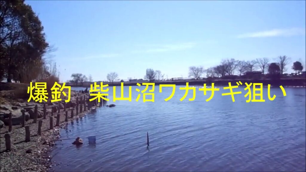 爆釣り柴山沼ワカサギ狙い