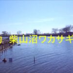 爆釣り柴山沼ワカサギ狙い
