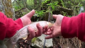 【会津渓流釣り】大滝に潜む大イワナを求めて‼(松倉川釣行)