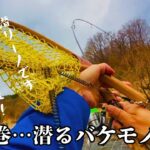 【渓流釣り】大イワナの渓流で何者か…横綱級のパワーと潜水を止めよ【会津渓流】